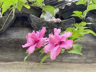 17C71DBF-A5E7-4D11-A37C-DE170C2E05B5/L0/001
