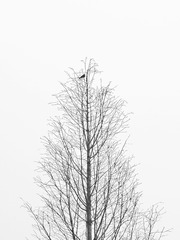 3587974