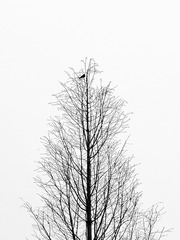 3587970