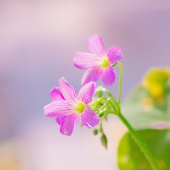 8DA0A839-EB7B-4690-B1E6-9C9EA4A7EFE1/L0/001