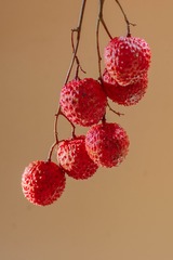 CE0A3FC7-3C5F-4488-908C-67CF995B4275/L0/001