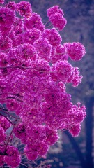 4B8D8E69-836E-4BAB-A1ED-E8572D50F232/L0/001