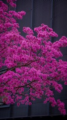 618AAC4C-7FFF-4990-B877-AAAB067420F2/L0/001