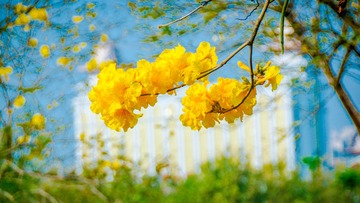 D682FF58-AB2C-44B5-8006-2FEE2A449FB7/L0/001
