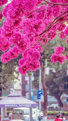 D1910B8A-82AD-4456-B976-714606C0D154/L0/001