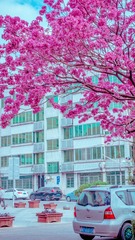 15525E3B-123B-48D1-90C5-10AEA96DFEC2/L0/001