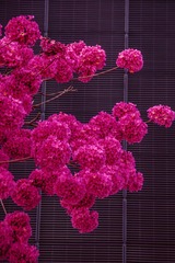 05D57556-B5BB-44DF-9C46-264FD1154010/L0/001