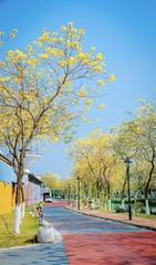 DBCD4D42-09F2-4E8F-842A-5C37067796BC/L0/001