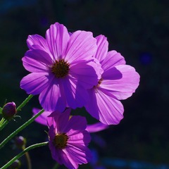 9C6A7ED5-829D-4A67-99CB-CE0B7814CF51/L0/001