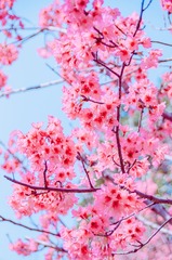 1B7AE14D-0C93-467C-A13B-90B7EB1AAF1E/L0/001