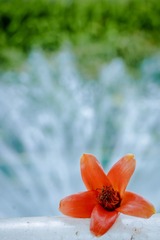 430F7910-F53B-48A1-8BD8-40BFE7D72175/L0/001