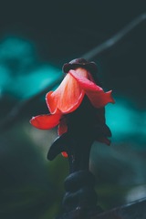 4B9AB2FB-8075-476F-BC63-E549D1E3A4DB/L0/001