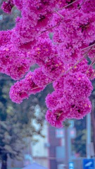7044AA8B-3FCE-4CE4-BC2D-79B93A0C72BA/L0/001