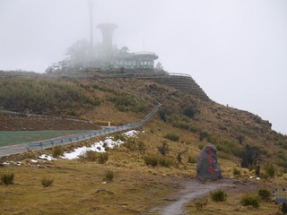 335036