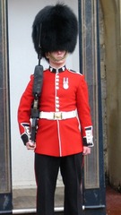 17263