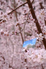 A317C27D-2815-4142-9CCE-800C51F0DCD7/L0/001
