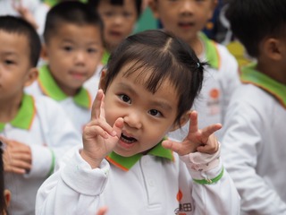 72048