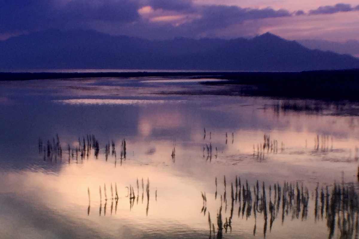 2016北航深圳校友摄影