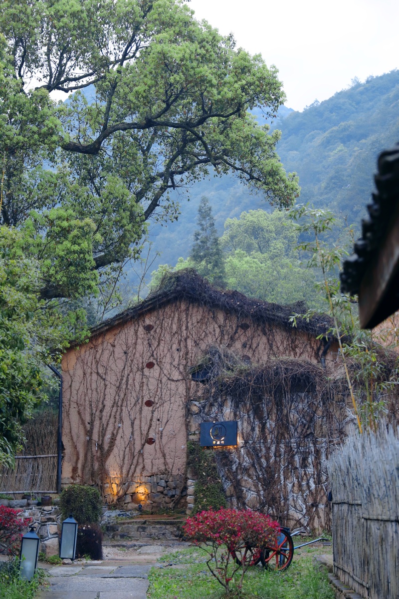 充实的乡间生活未来乡村应该是一个美的综合体