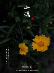 75148F20-1EF3-492C-B2A9-C566068EE1DD/L0/001