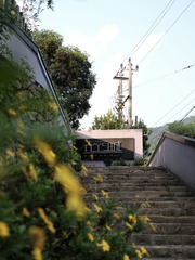 E17E246F-DA28-46D0-96DB-761C5EE9274D/L0/001