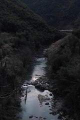 E385415F-9D0D-4AE9-A7B5-FD2E66604141/L0/001