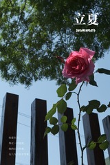 39CB9513-51D6-4B72-85EC-167FB6AC3006/L0/001