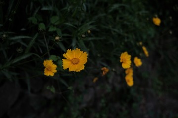 9C117A8F-9FC6-474E-9150-36B33536F98D/L0/001
