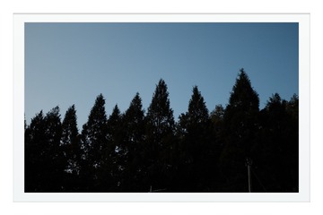 31551411-6F28-4B22-840B-010A11FEDFE5/L0/001