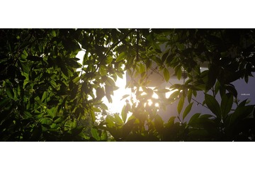 A72D9642-17E8-4549-B505-08086EED4705/L0/001