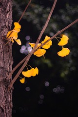 6D1292D5-16E9-4512-AD22-797AC86F2D8B/L0/001