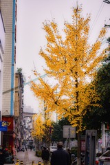 0FCBC40C-C9DA-47AC-8DF0-6EDB5796D93A/L0/001