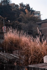 35D267D0-D056-4C8F-8666-FD000AD8DDB5/L0/001