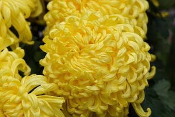 743A2034-D608-47F3-B540-BC102E5B0296/L0/001