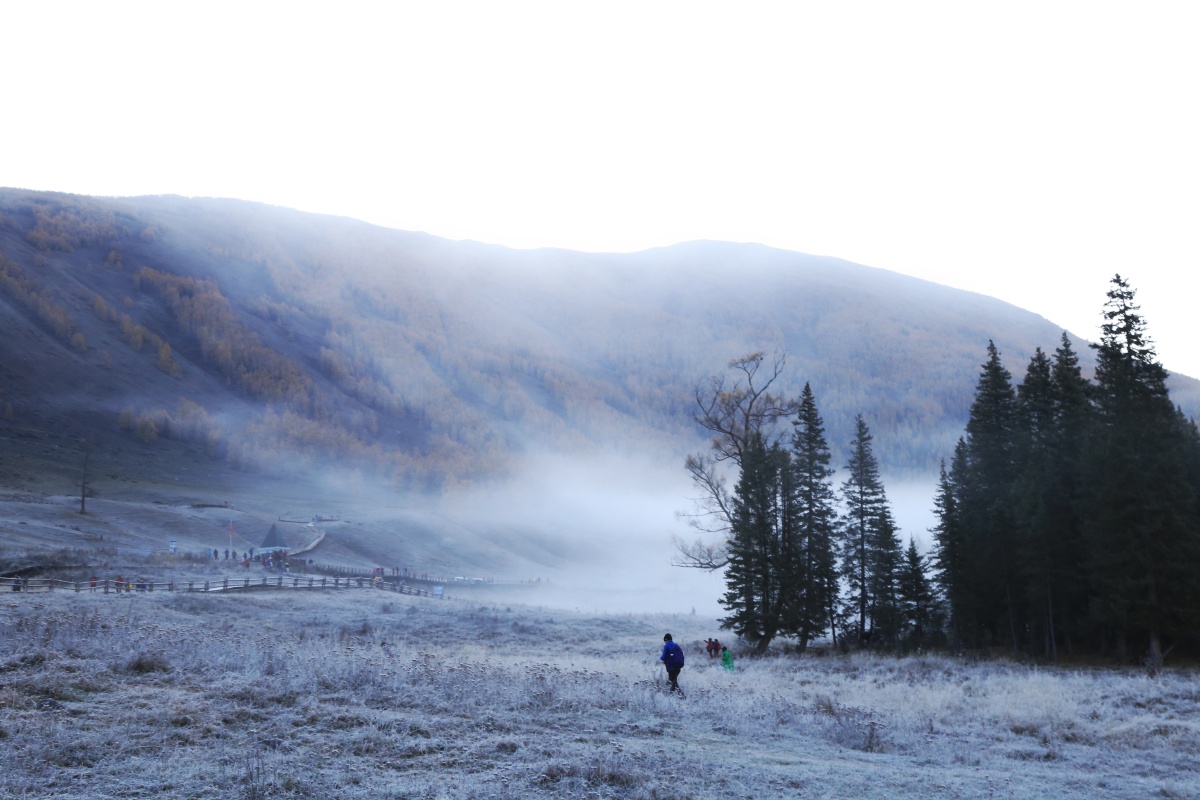 神仙湖畔两茫茫朝雾晨露仙难忘