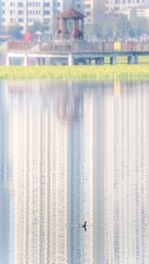 1B4BF855-E9F6-4205-A708-97B2E9DD25DE/L0/001