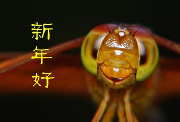 复件 DSCF2299