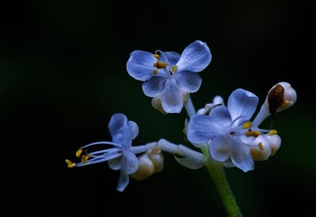 DSCF2155 - 