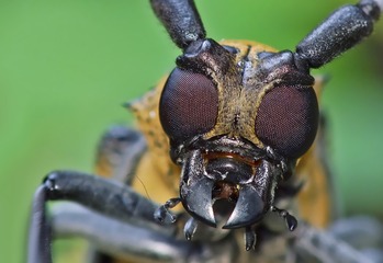 DSCF8568 - 