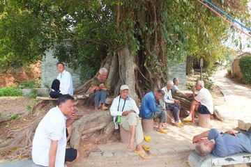 DSCF9387_