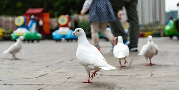 20161023-DSC01150