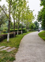 20161005-DSC01025
