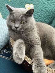 1655