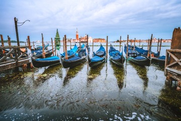 LGY_7303