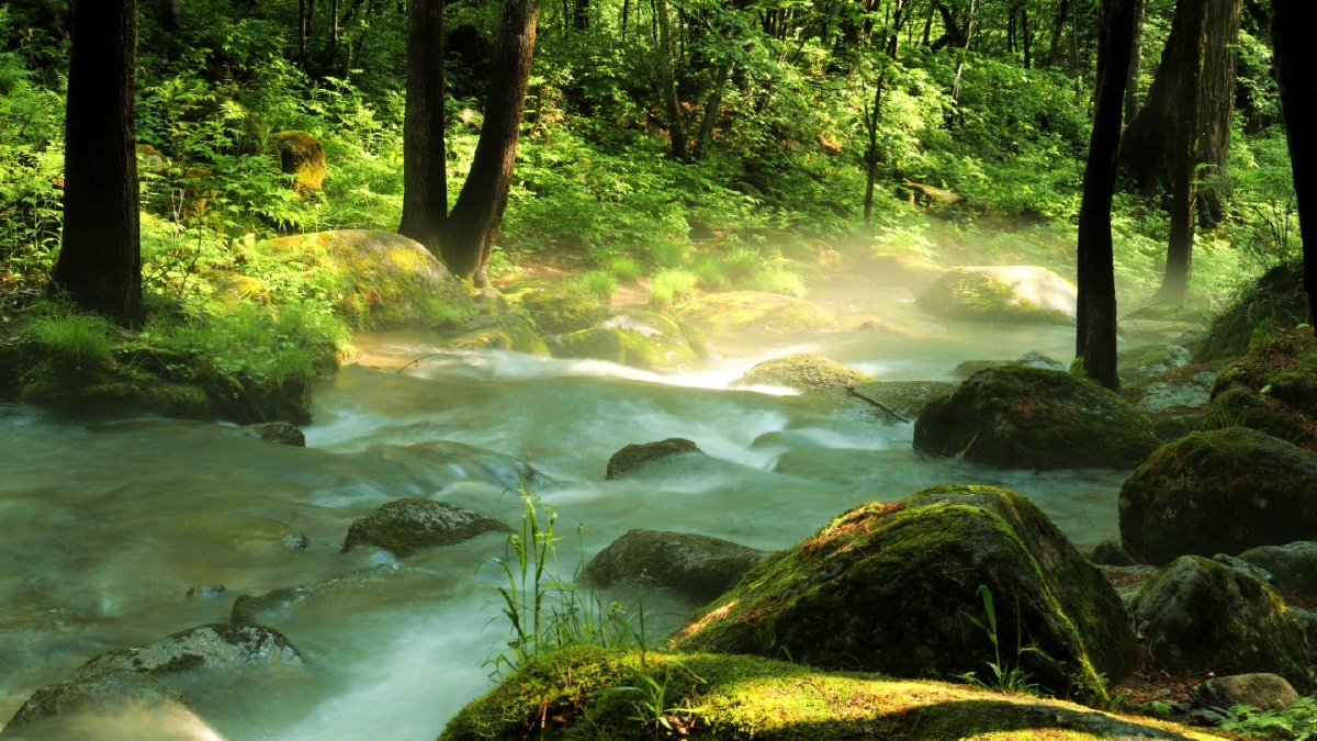 用心去发现美丽的景色用镜头留下生活中的遇见