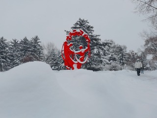 4038496
