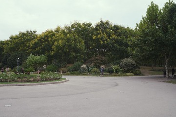 2016-09-05 05.50.45 2