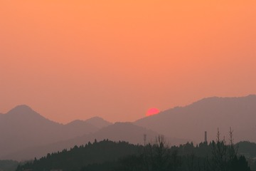 2320256
