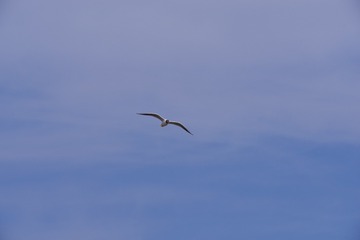 1706757
