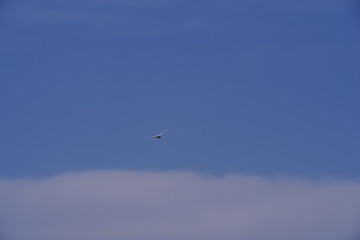 1706761